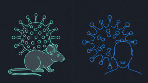 Perché l’hantavirus non diventerà la prossima pandemia: le 6 differenze fondamentali con il Covid