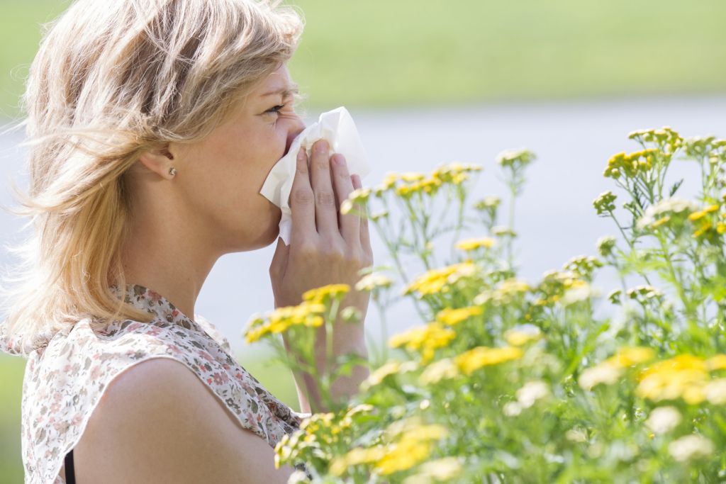 Allergie primaverili: quali sono le più diffuse e come riconoscerle