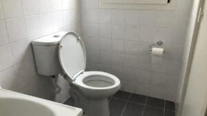 Gli uomini dovrebbero urinare seduti? Cosa dice la scienza