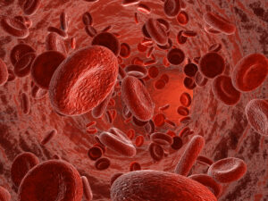 Quando i valori del sangue parlano: cosa ci dicono gli esami di routine